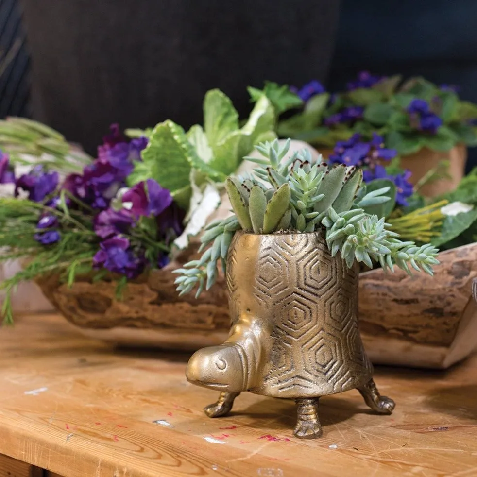 Antiqued Gold Bohemian Tommy Turtle Planter Pot  - Two Sizes