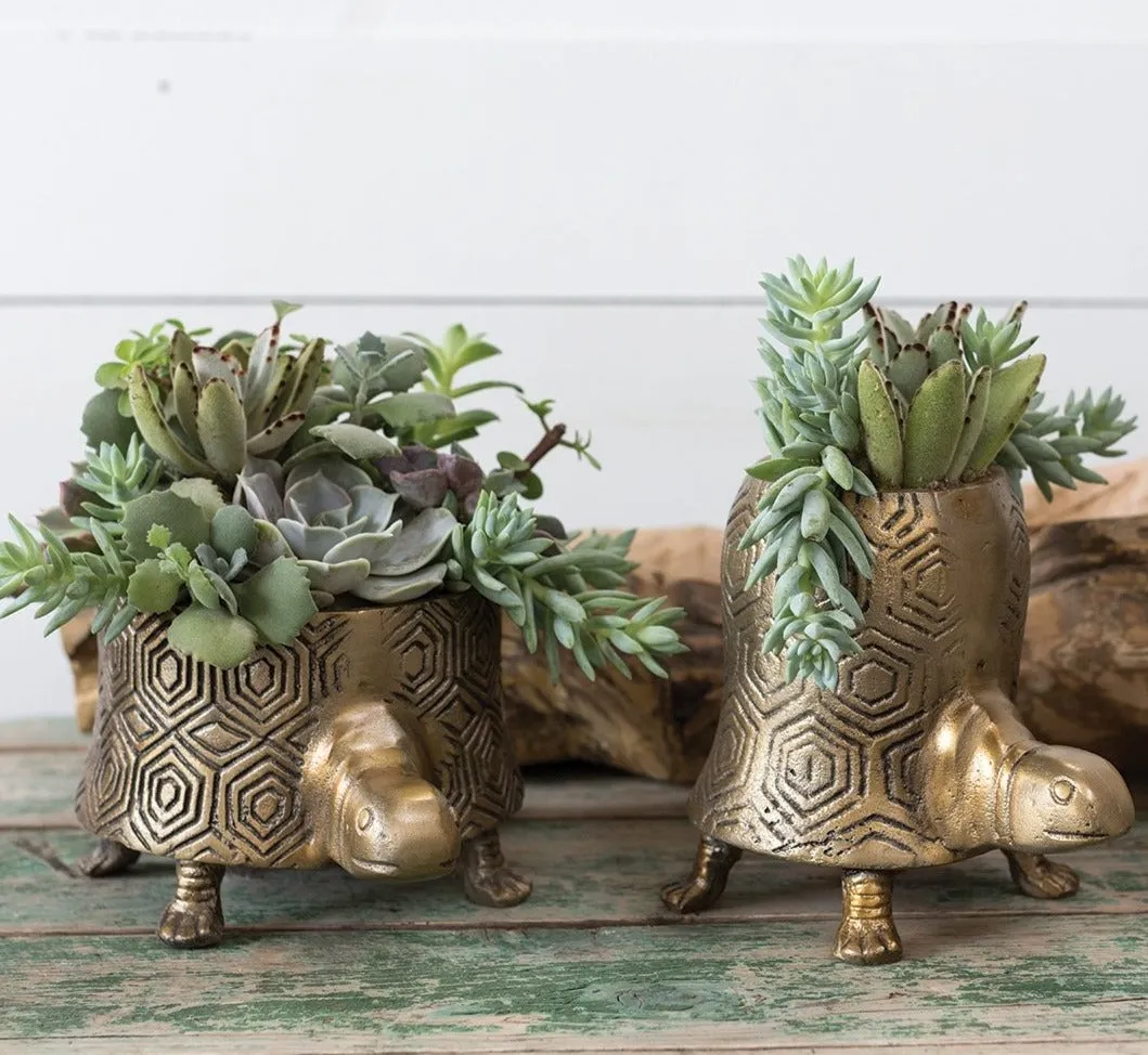 Antiqued Gold Bohemian Tommy Turtle Planter Pot  - Two Sizes