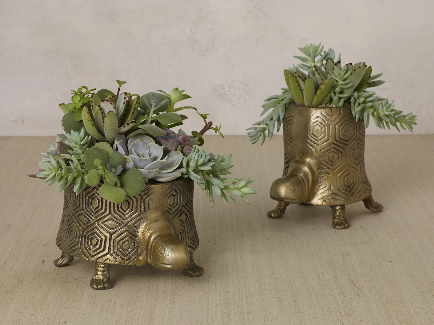 Antiqued Gold Bohemian Tommy Turtle Planter Pot  - Two Sizes