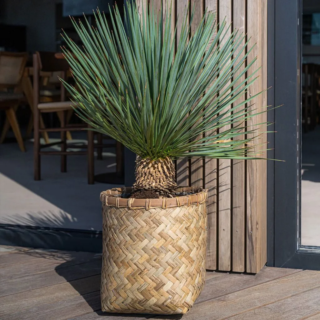 Bohemian Cement Bamboo Basket - Zayn