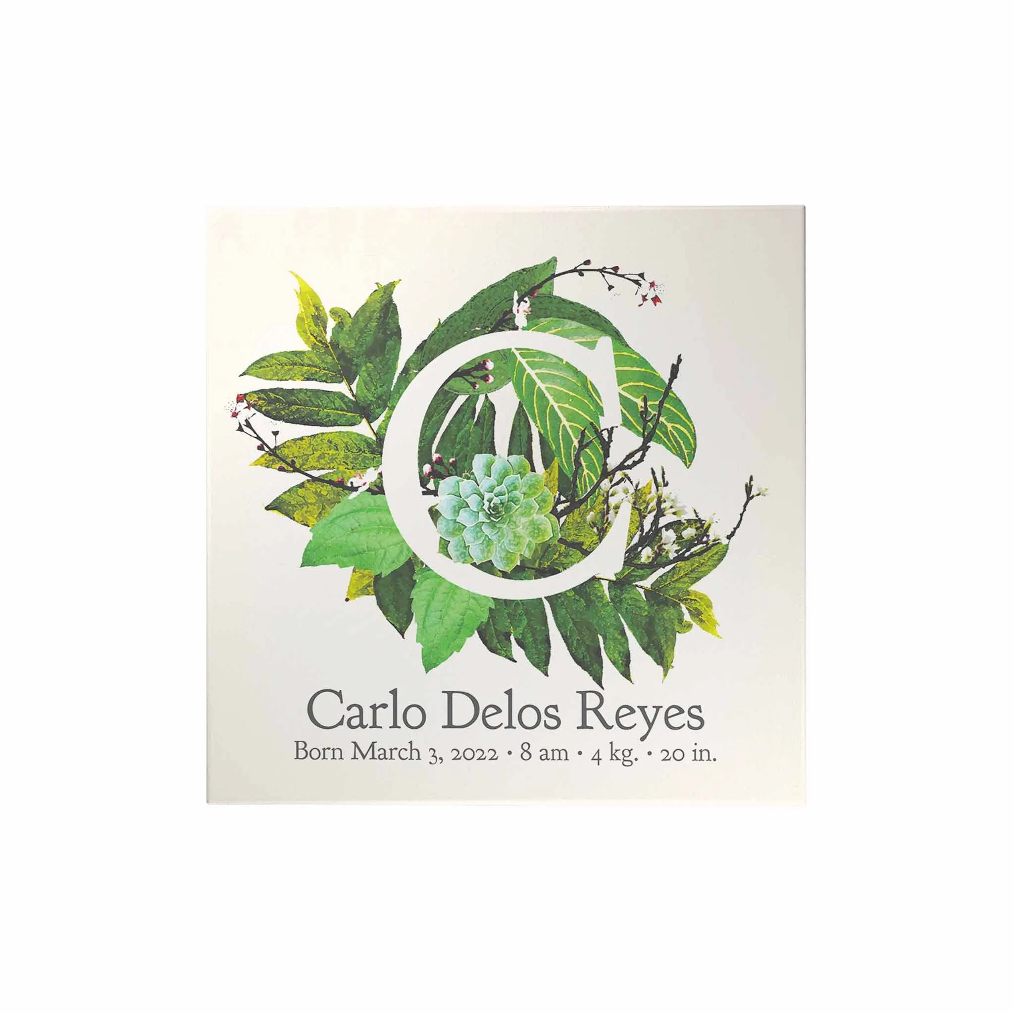 Botanical Monogram Birth Announcement Decoposter