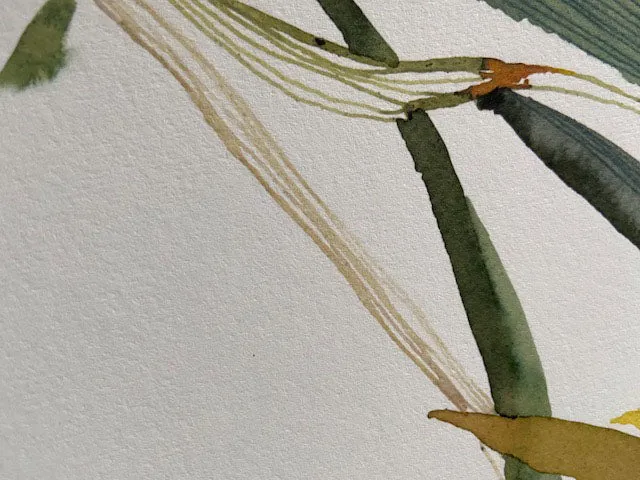 Psychopsis Papilio Orchid