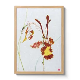 Psychopsis Papilio Orchid