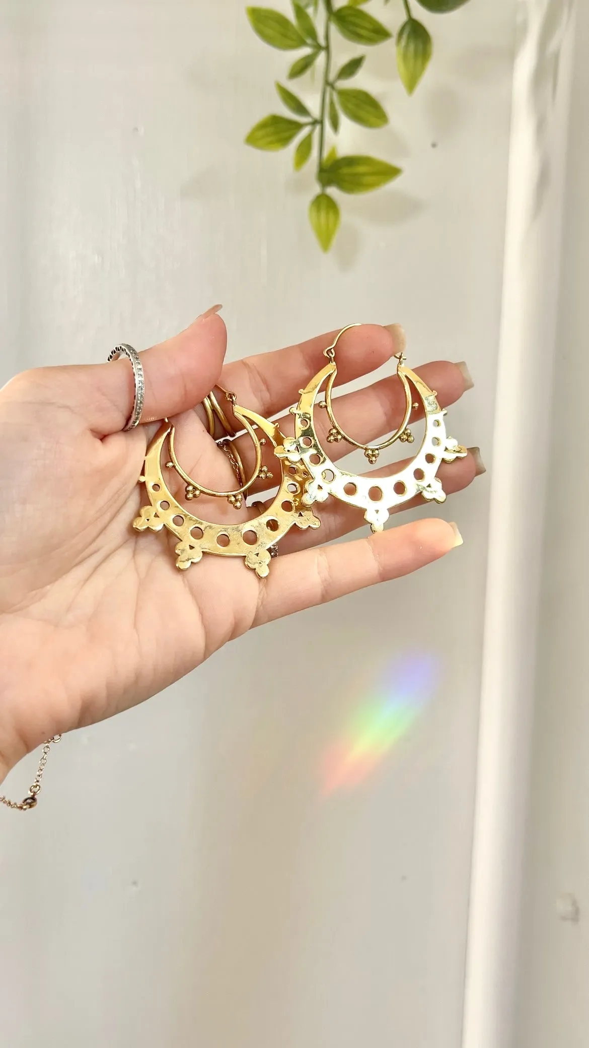 Spotted Cove • Hoop Earrings