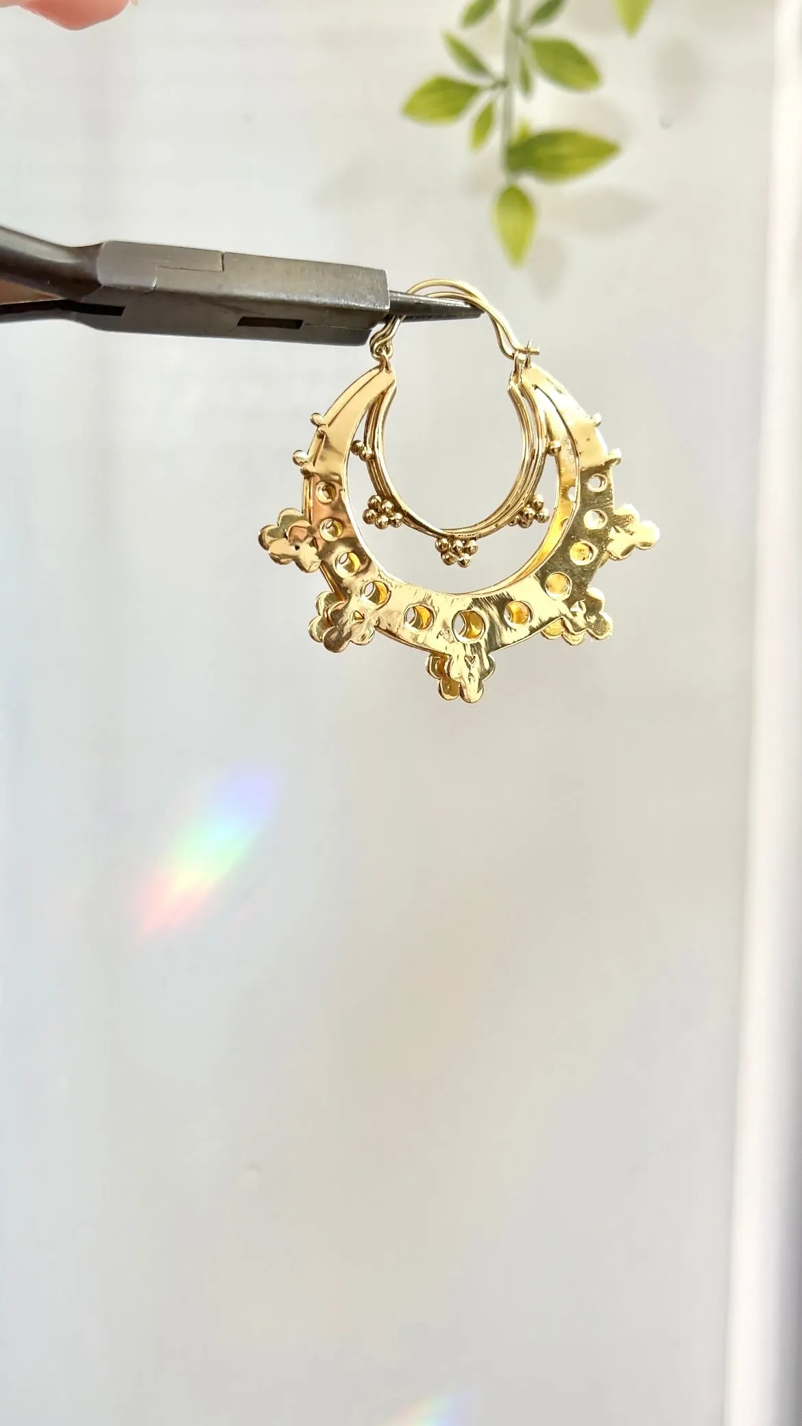 Spotted Cove • Hoop Earrings